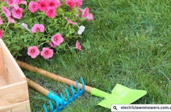 An Ultimate Summer Lawn Care guide to keep lawn healthy - electriclawnmowers.com.au