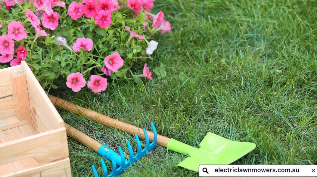 An Ultimate Summer Lawn Care guide to keep lawn healthy - electriclawnmowers.com.au