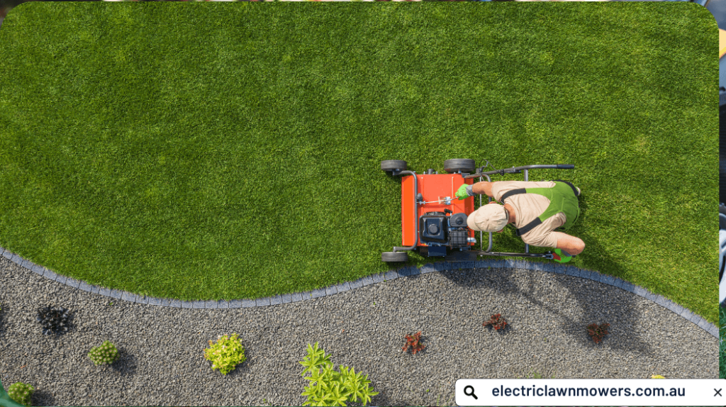 Top 10 things you must not do with your lawn - electriclawnmowers.com.au