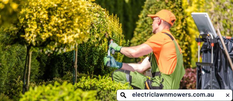 Start your own lawn mowing business from your home - electriclawnmower.com.au