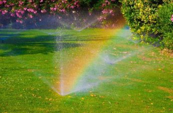 watering the lawn in australia