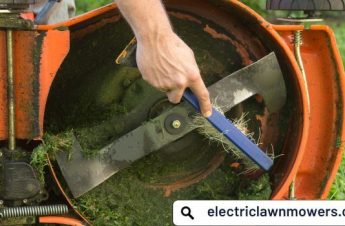 What should I do: Sharpen or Replace Lawn Mower Blades - electriclawnmowers.com.au
