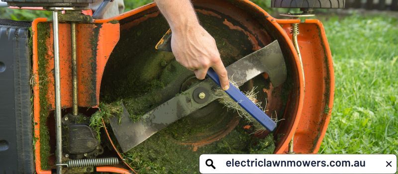 What should I do: Sharpen or Replace Lawn Mower Blades - electriclawnmowers.com.au