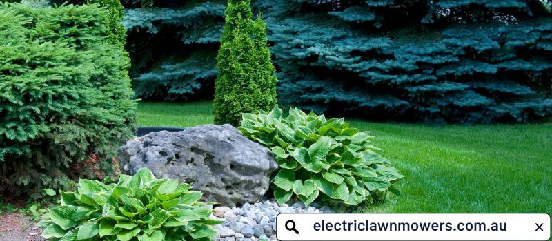 Top 7 Landscape Design Mistakes and Ways to Avoid Them - electriclawnmower.com.au